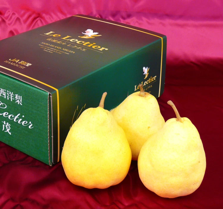 ギフト 赤秀 羽茂産 ル レクチエ 4kg(7-12玉入)＞｜梨をお取り寄せ