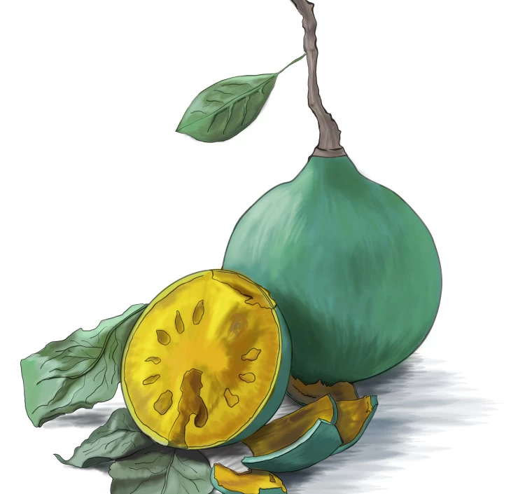 ベールフルーツ ハーブティー