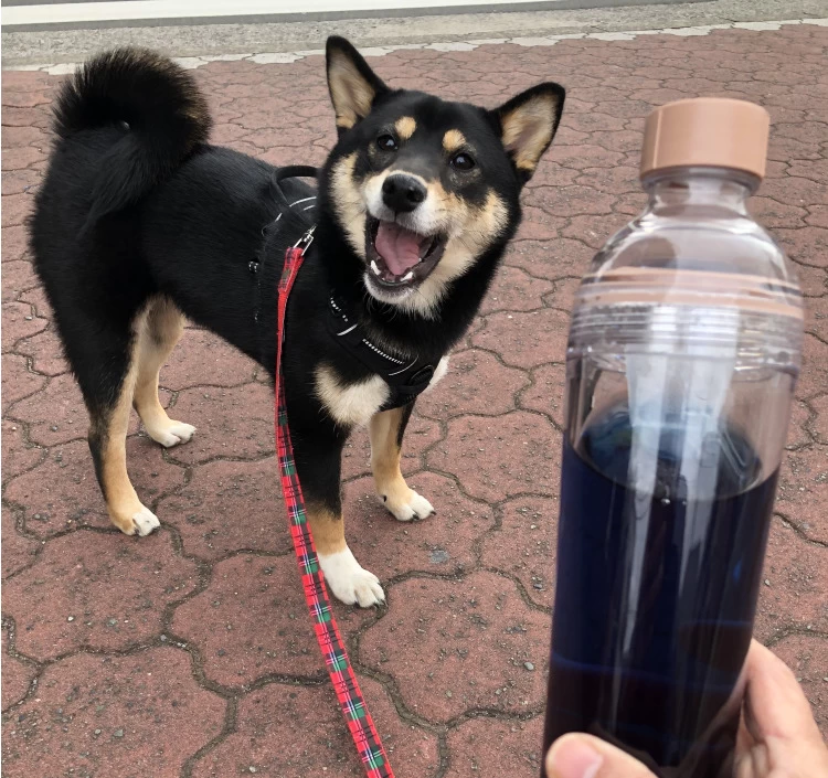 バタフライピー &持ち運びタンブラーセット