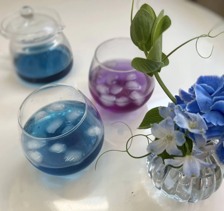 バタフライピー&香りマグカップセット