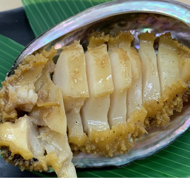 北海道室蘭産 天然蝦夷 活鮑 10個入