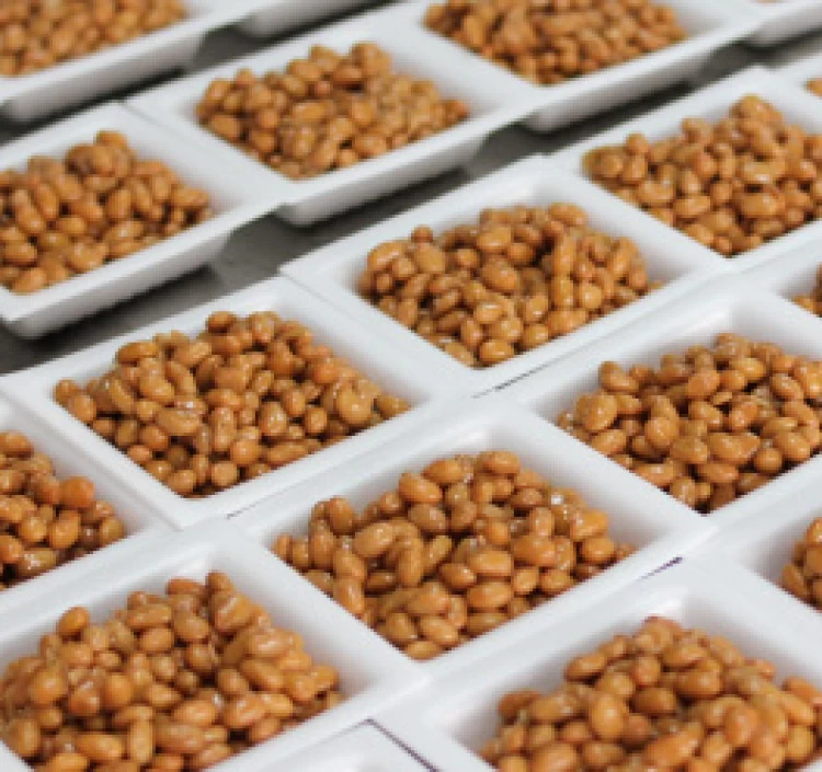 宮城野納豆（四角）30個 1500ｇ