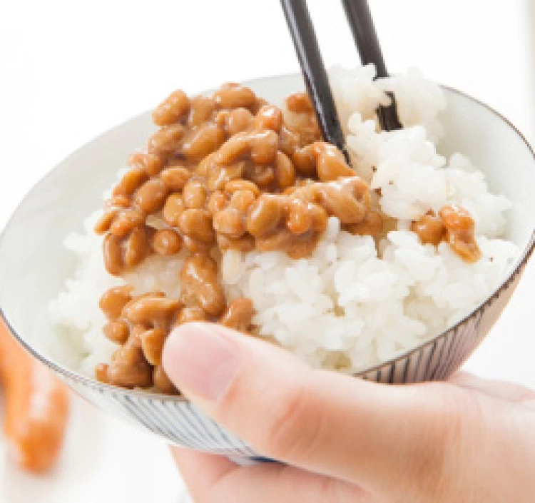 宮城野納豆（四角）30個 1500ｇ