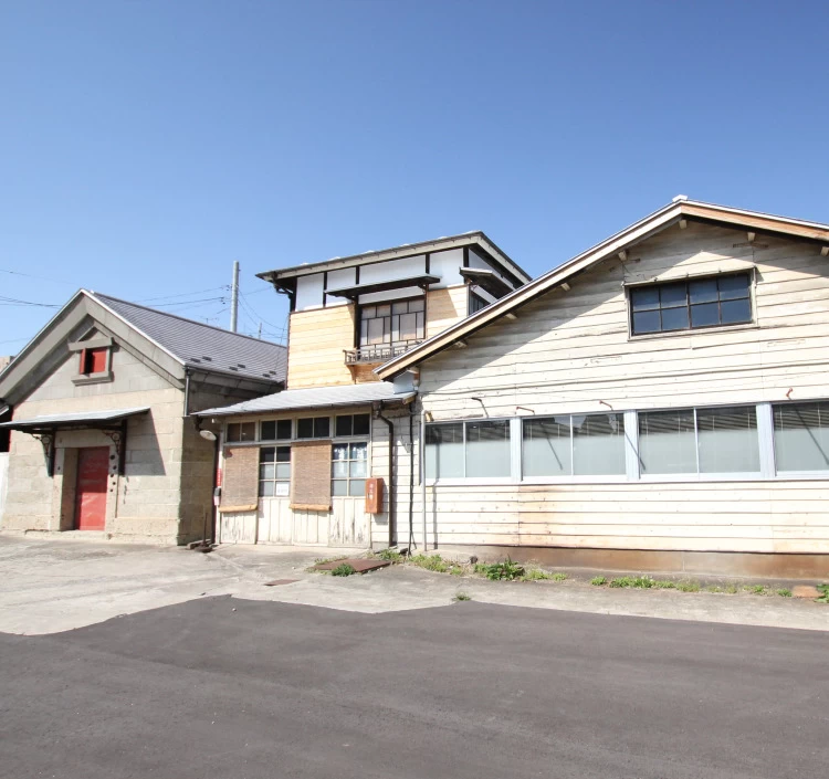 宮城野納豆（四角）30個 1500ｇ