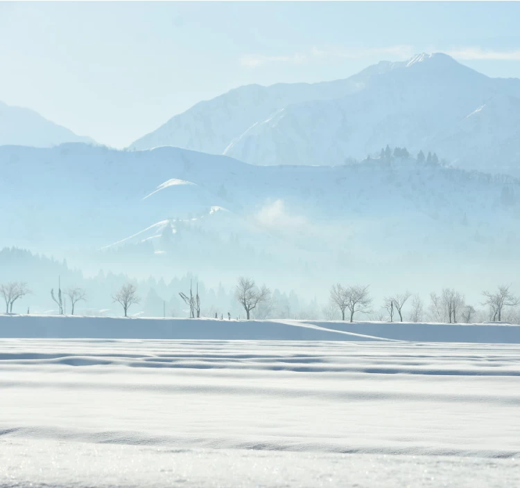 令和7年産　魚沼産こしひかり　精米　5㎏