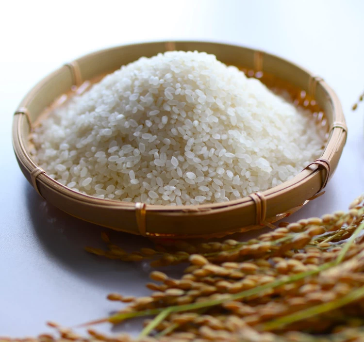 令和7年産　魚沼産こしひかり　精米　5㎏