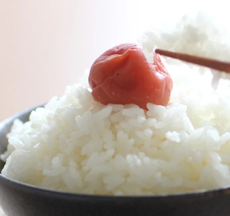 令和7年産　魚沼産こしひかり　精米　5㎏