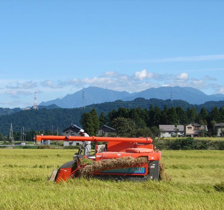 令和7年産【新米】　魚沼産こしひかり　特別栽培米　精米　5kg