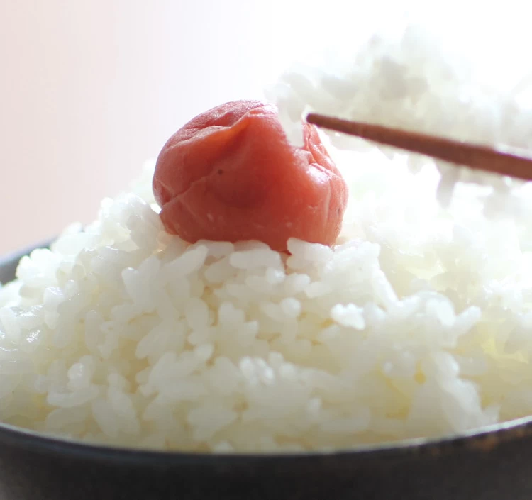 令和7年産【新米】　魚沼産こしひかり　特別栽培米　精米　5kg