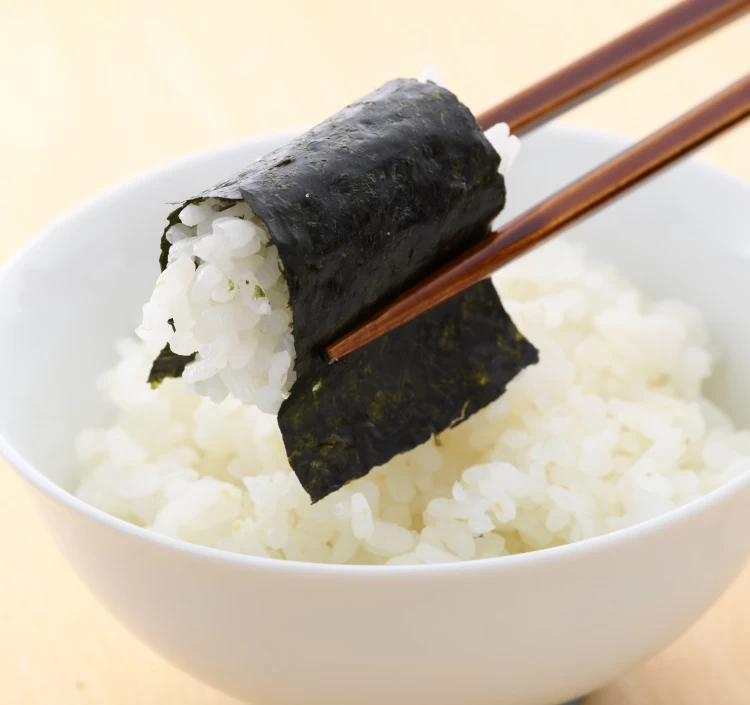 越前塩使用「塩のり」（恐竜パッケージ）