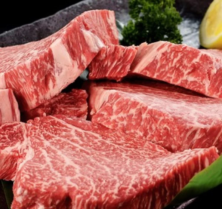 黒毛和牛 ヒレステーキ