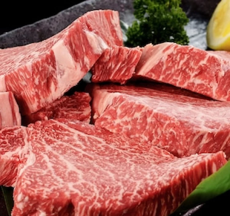 黒毛和牛 ヒレステーキ