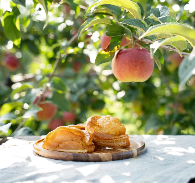 【Apple Pockets】選べる2種セット