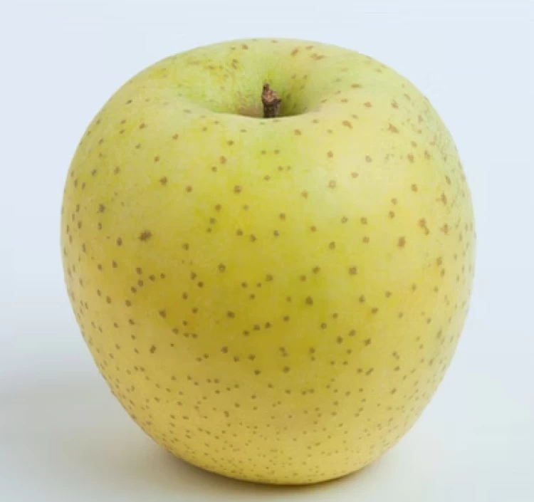 【Apple Pockets】王林