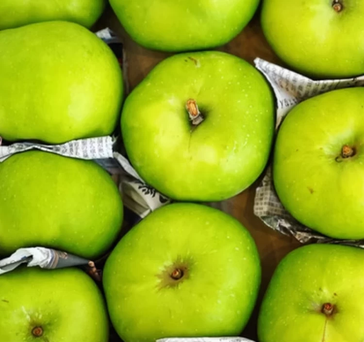 【Apple Pockets】カルヴィルブラン