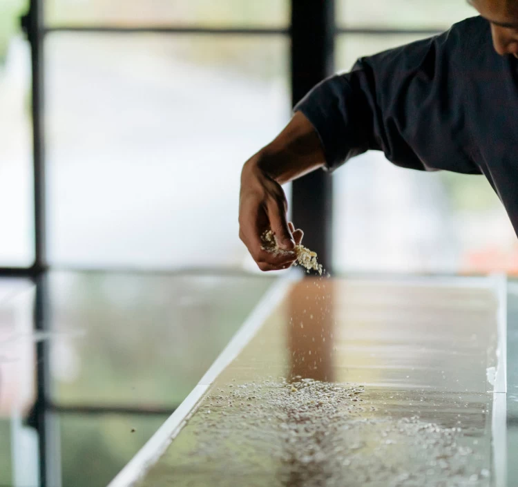 【ICA2020-2022の受賞3種, C.C.C受賞】 プラリネ6