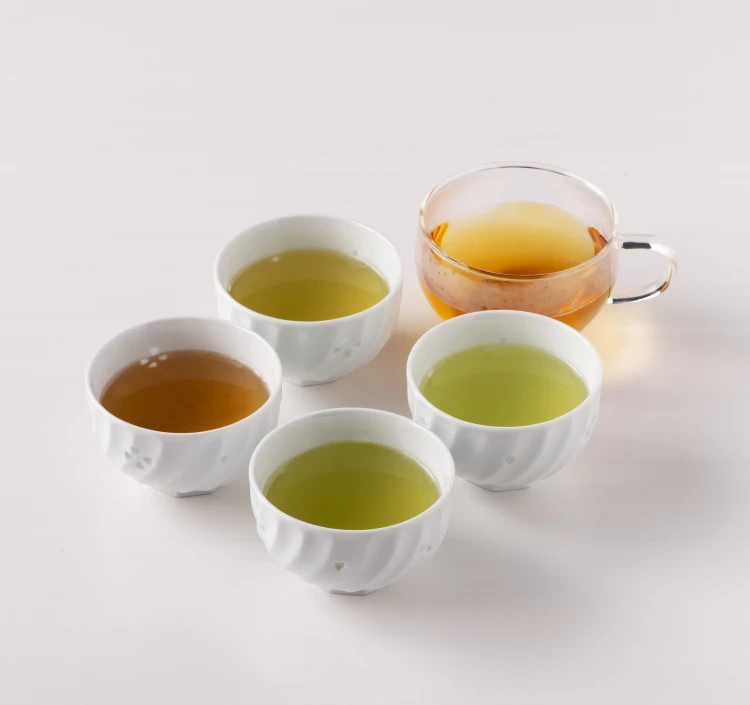 選べる嬉野茶セット(100パック)