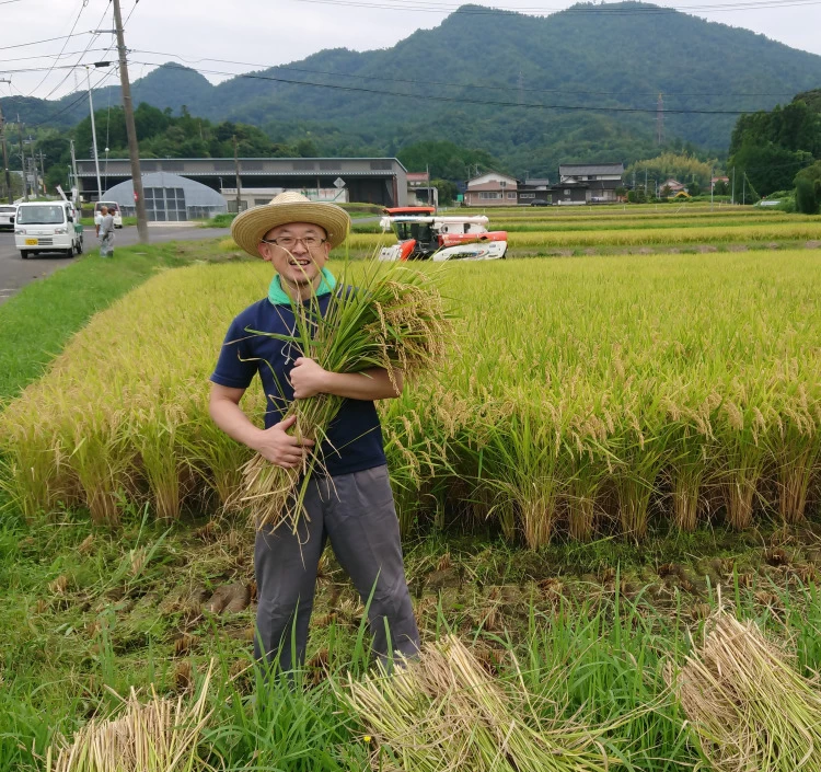 出雲神結米 5kg 1袋