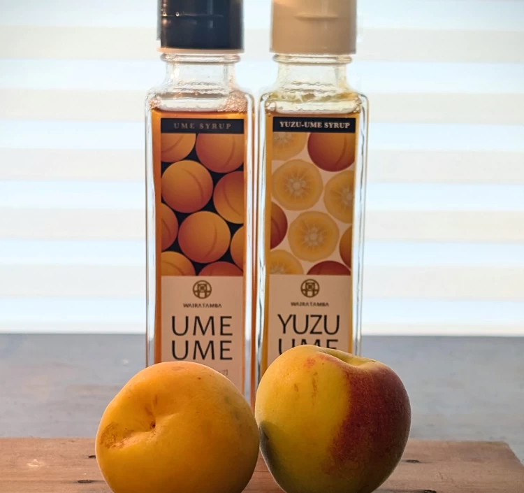 梅ピューレ2種セット(UME UME・YUZU UME) 315ml×2本
