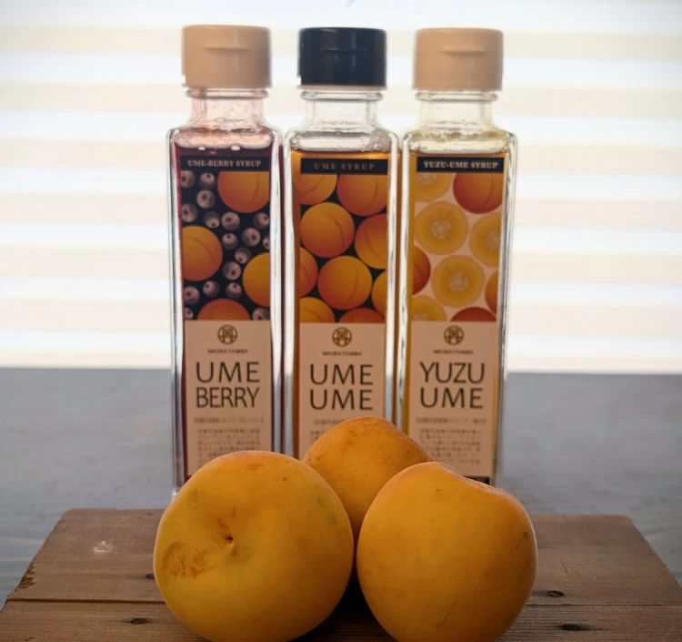 梅ピューレ3種セット(UME UME・YUZU UME・UME BERRY) 315ml×3本