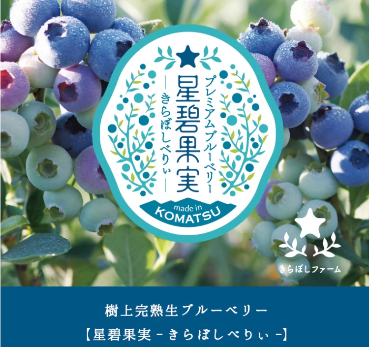 【冷凍】きらぼしべりぃ500ｇスタンドパック