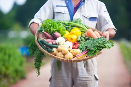 とびきり新鮮で美味しい野菜を簡単にお取り寄せ！農家直送の人気商品14選