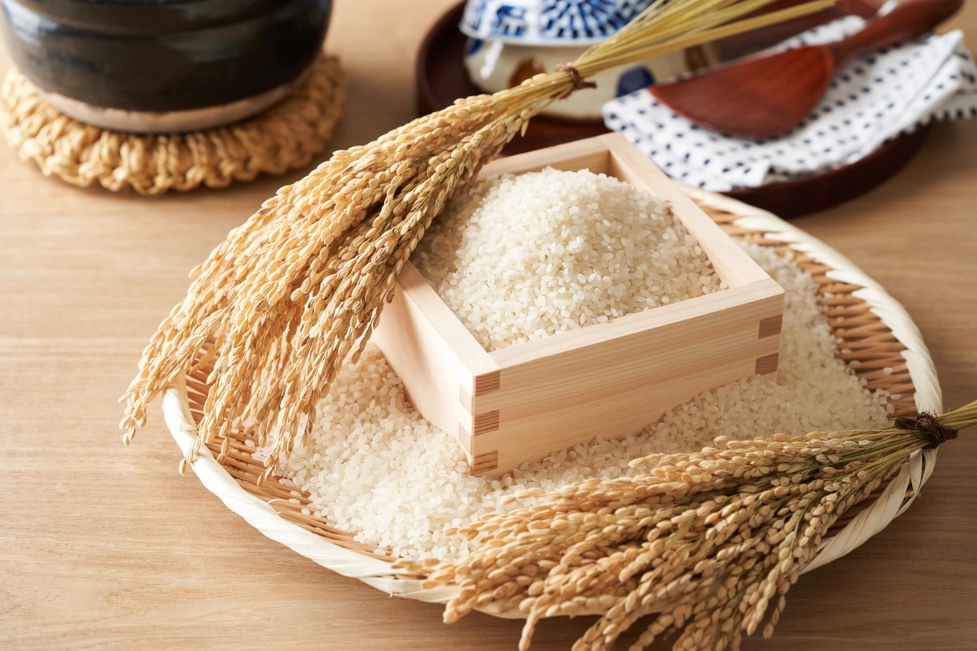 【2025年版】白米・玄米の注目お米ランキング20選