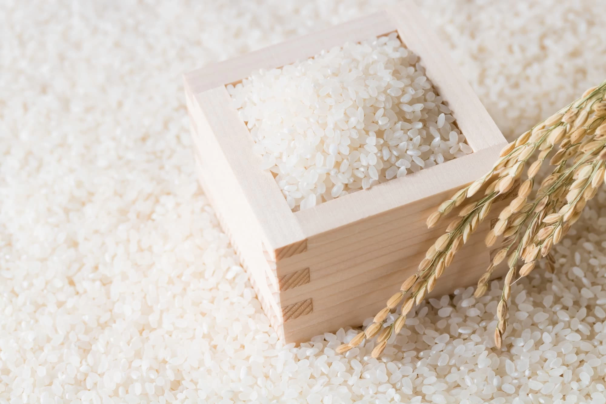 お取り寄せできる全国で人気のブランド米18選