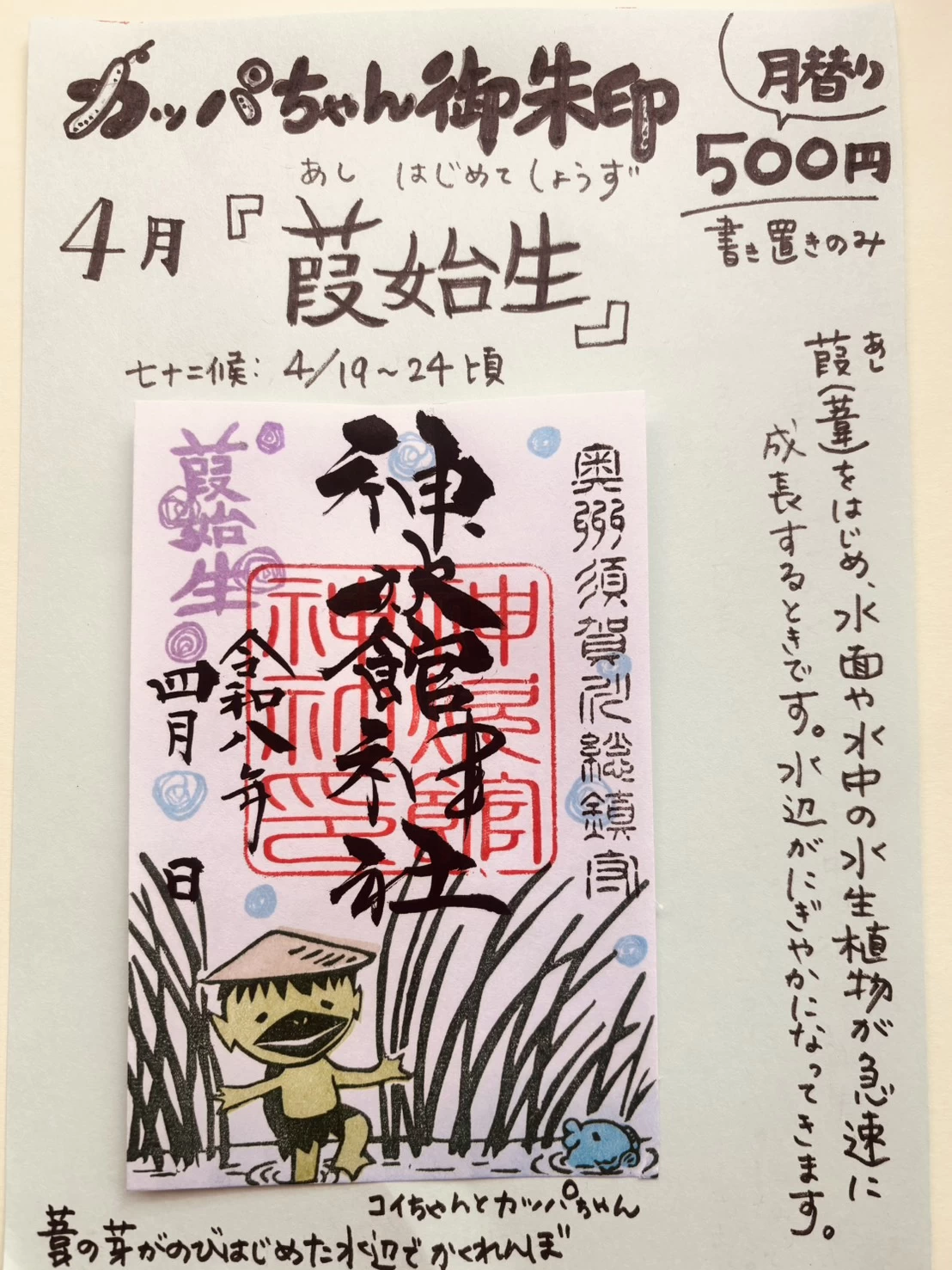 4月のカッパちゃん御朱印『 葭始生　(あしはじめてしょうず)』