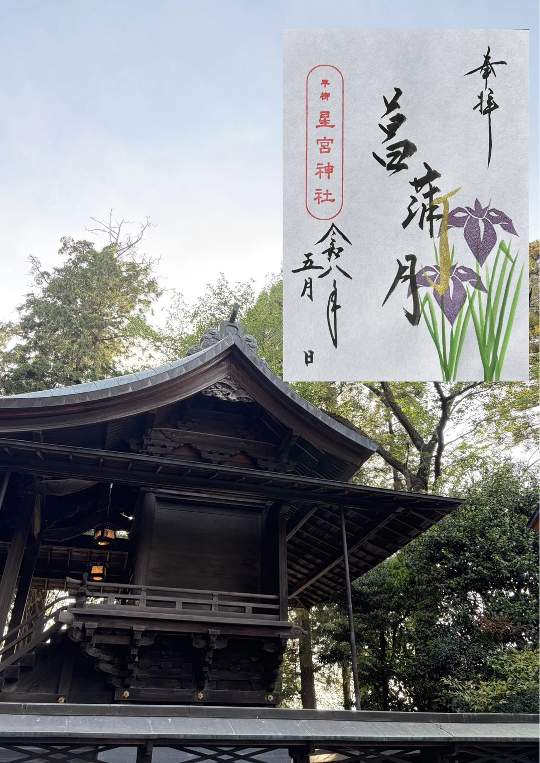 5月の月替り御朱印  「菖蒲月（あやめづき）」