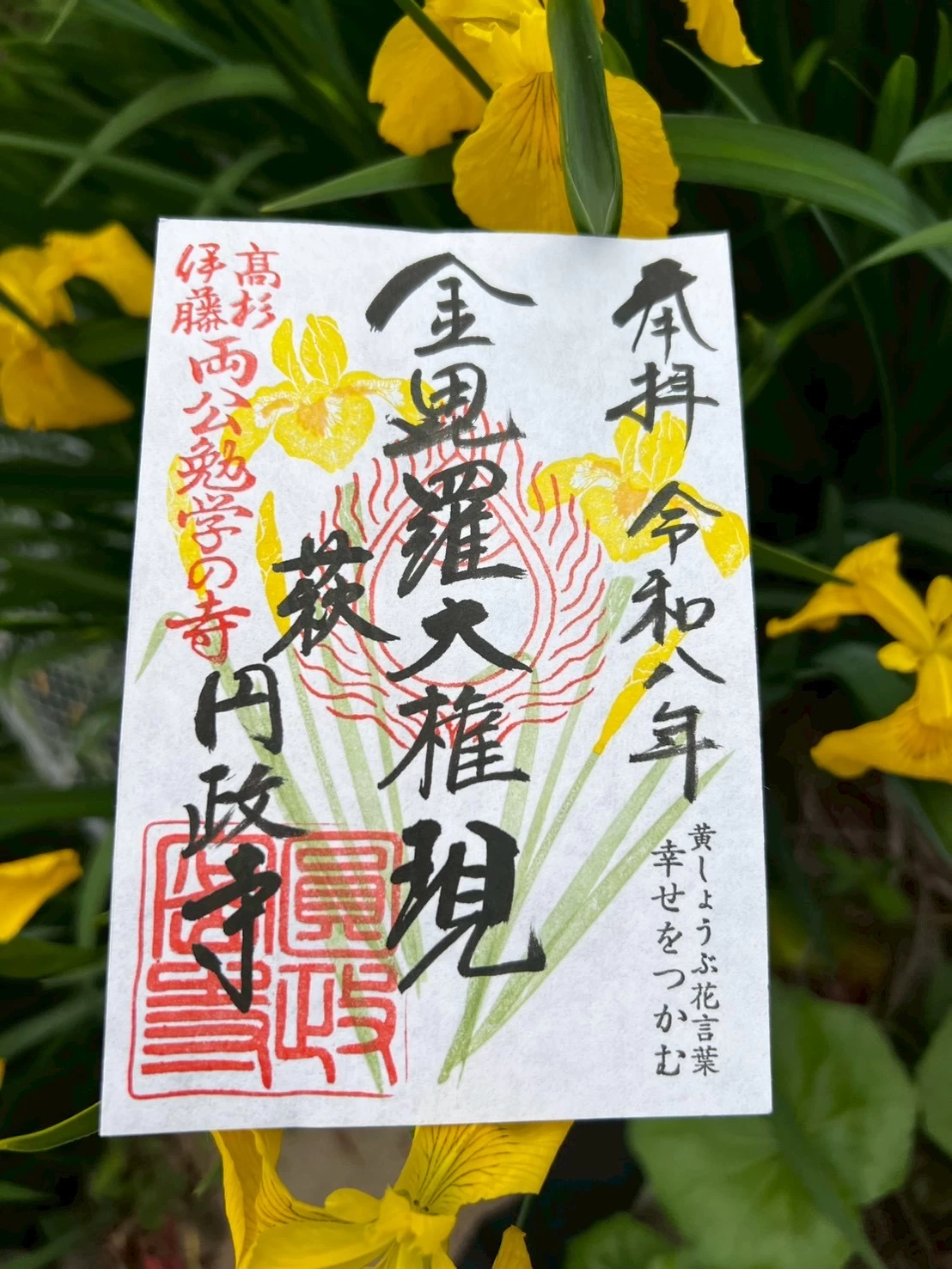季節限定 幸せをつかむ黄菖蒲御朱印