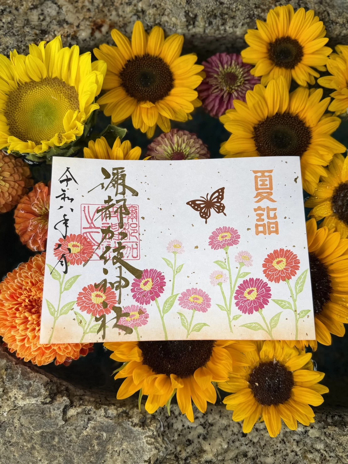 「百日草　ジニア」御朱印