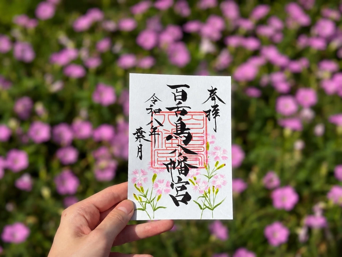 季節限定朱印 葉月 カワラナデシコ　