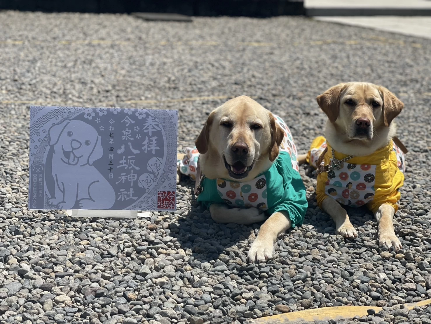 盲導犬支援御朱印