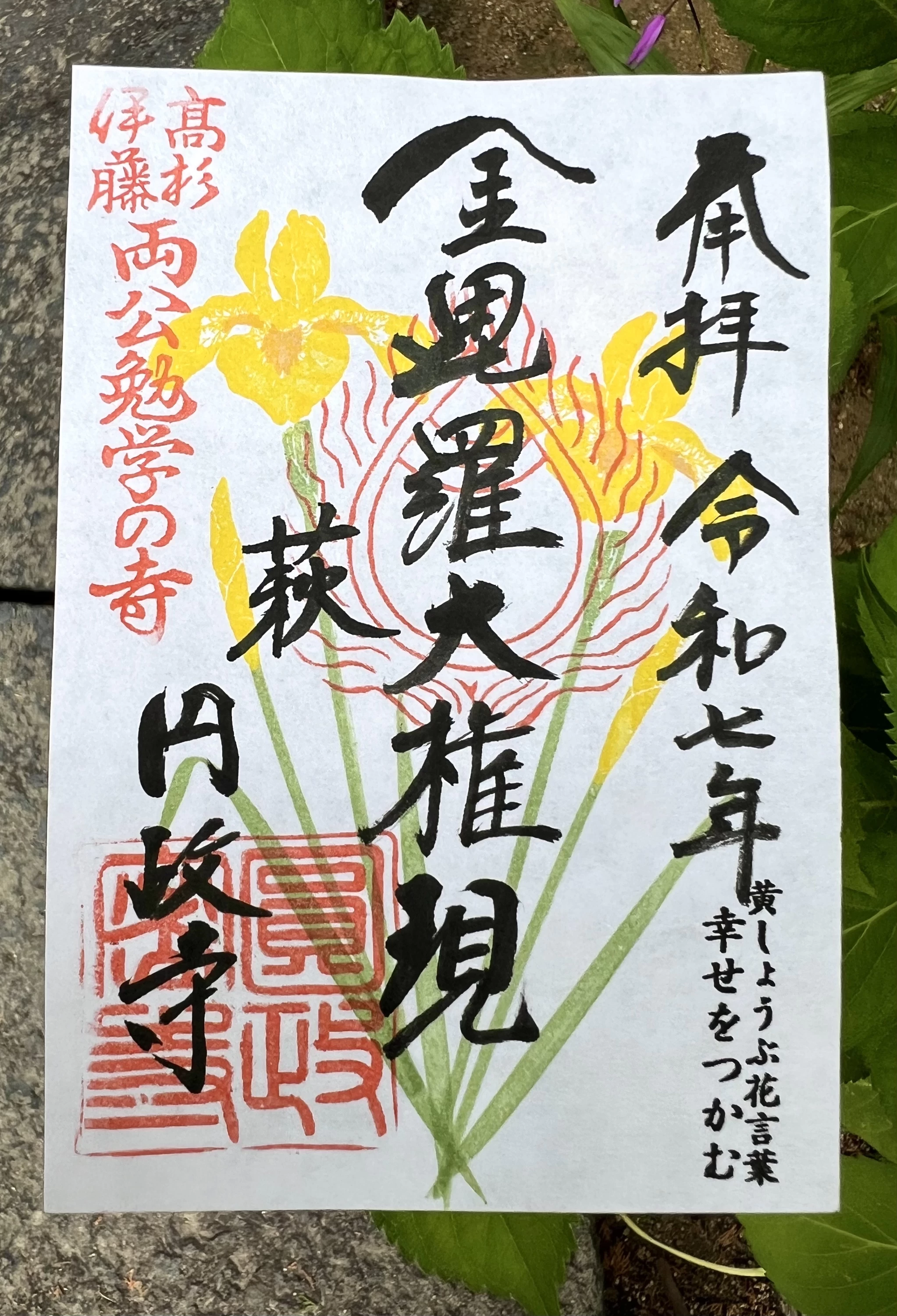 季節限定 幸せをつかむ黄菖蒲御朱印（毎年4月末日頃～5月末日まで）