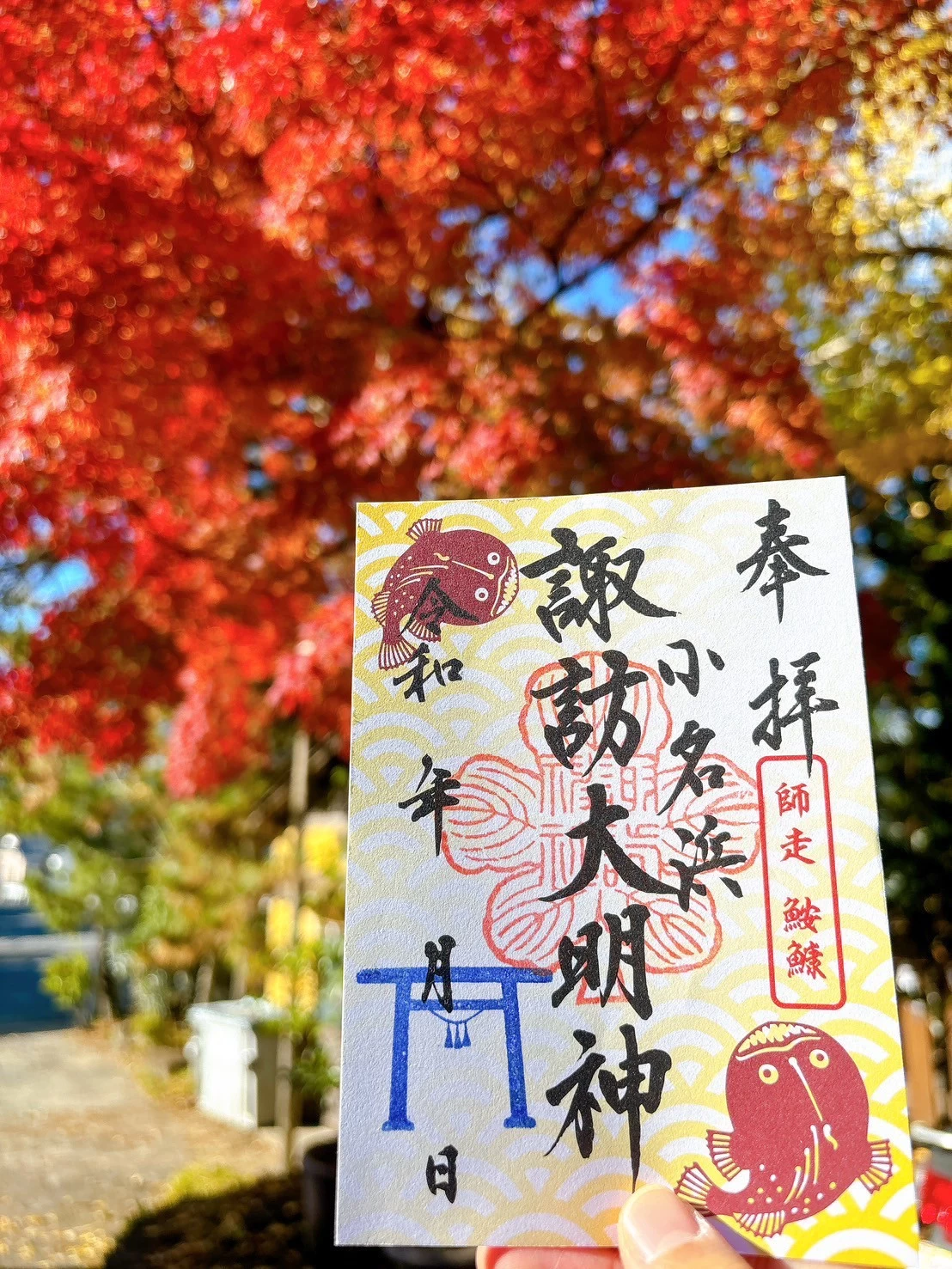 旬のお魚ご朱印