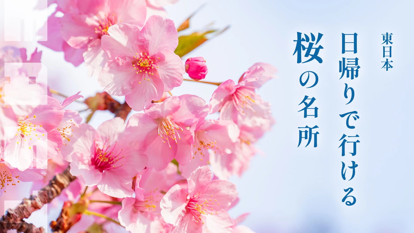 【東日本】都心から日帰りで行ける　東日本の桜の名所4選