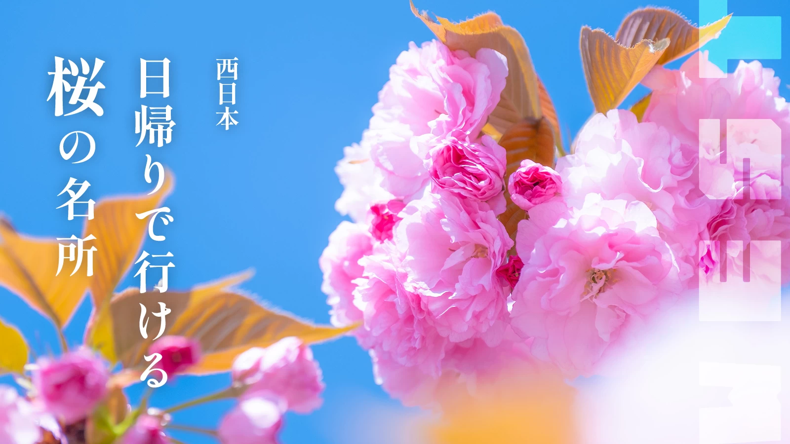 【西日本】都心から日帰りで行ける　西日本の桜の名所7選