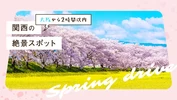 【大阪から2時間以内】関西の絶景スポット28選！ 春の日帰りドライブ