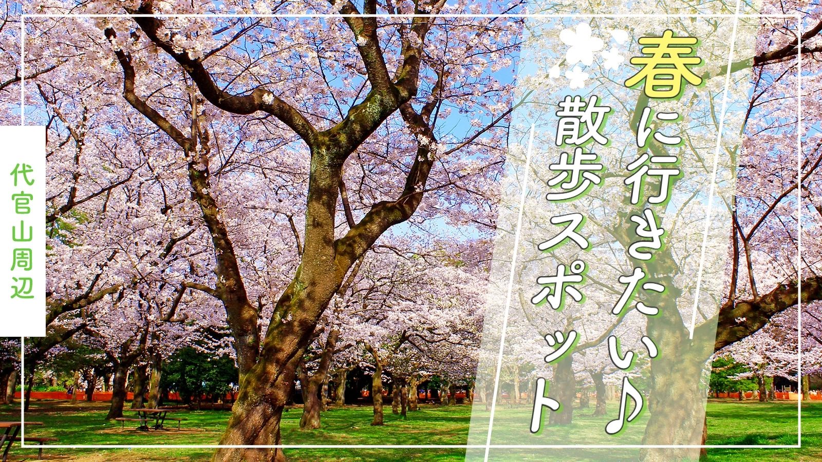 【代官山周辺】春はお散歩♪ おでかけスポット9選