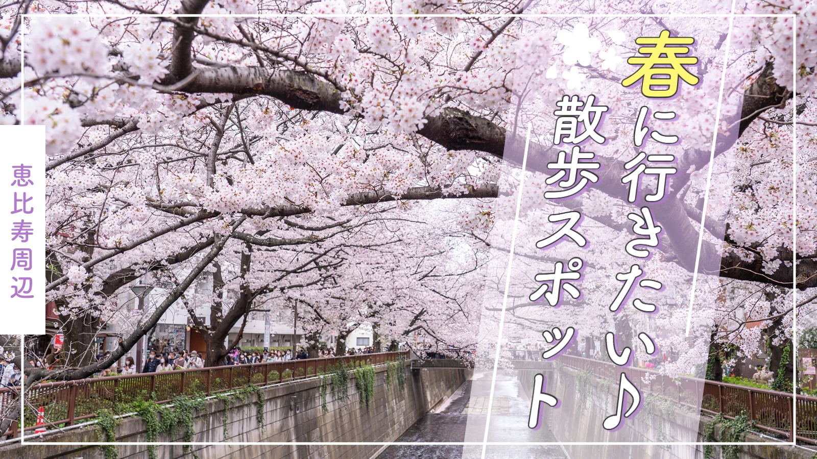 【恵比寿周辺】春はお散歩♪ おでかけスポット5選