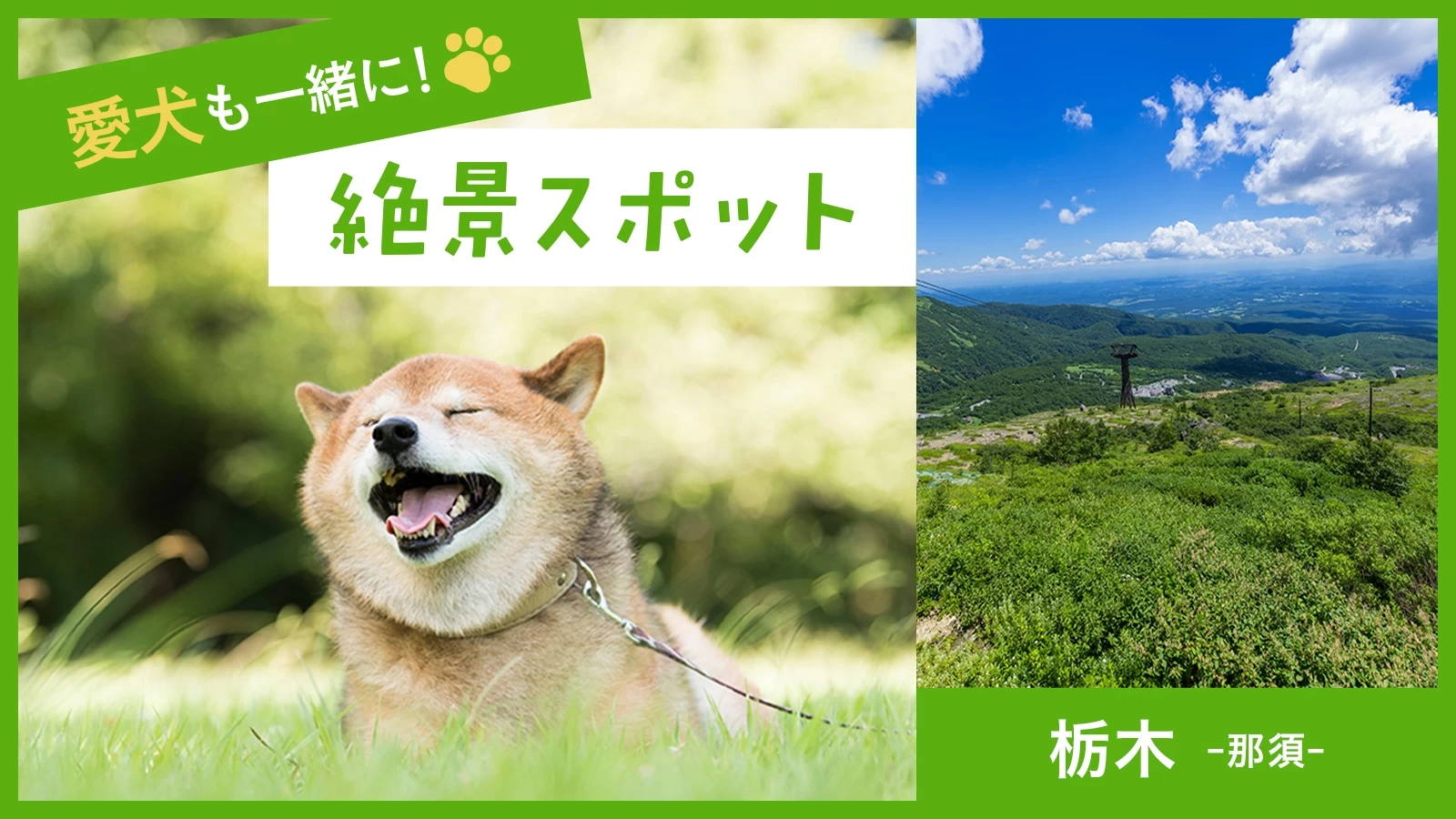 【栃木・那須】愛犬と一緒に楽しめる！ 日帰り観光スポット11選