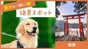 【箱根・日帰り】愛犬も一緒に楽しめる！ 絶景スポット11選