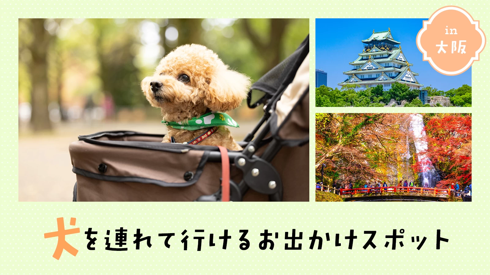 【大阪近郊・お出かけ】犬を連れて行けるお出かけスポット14選