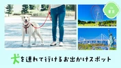 【東京近郊・おでかけ】犬を連れて行けるお出かけスポット15選