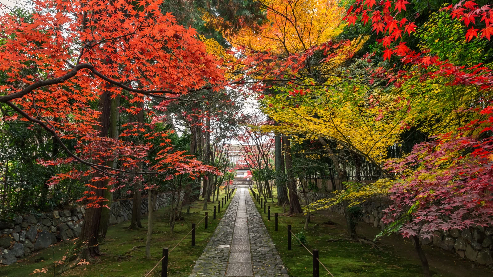 【2023年・大阪】深まる秋に行きたい！ 11月に開催されるイベント14選