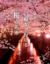 【2024年・おでかけ】関東のお花見・桜の名所21選〈アンケート結果〉