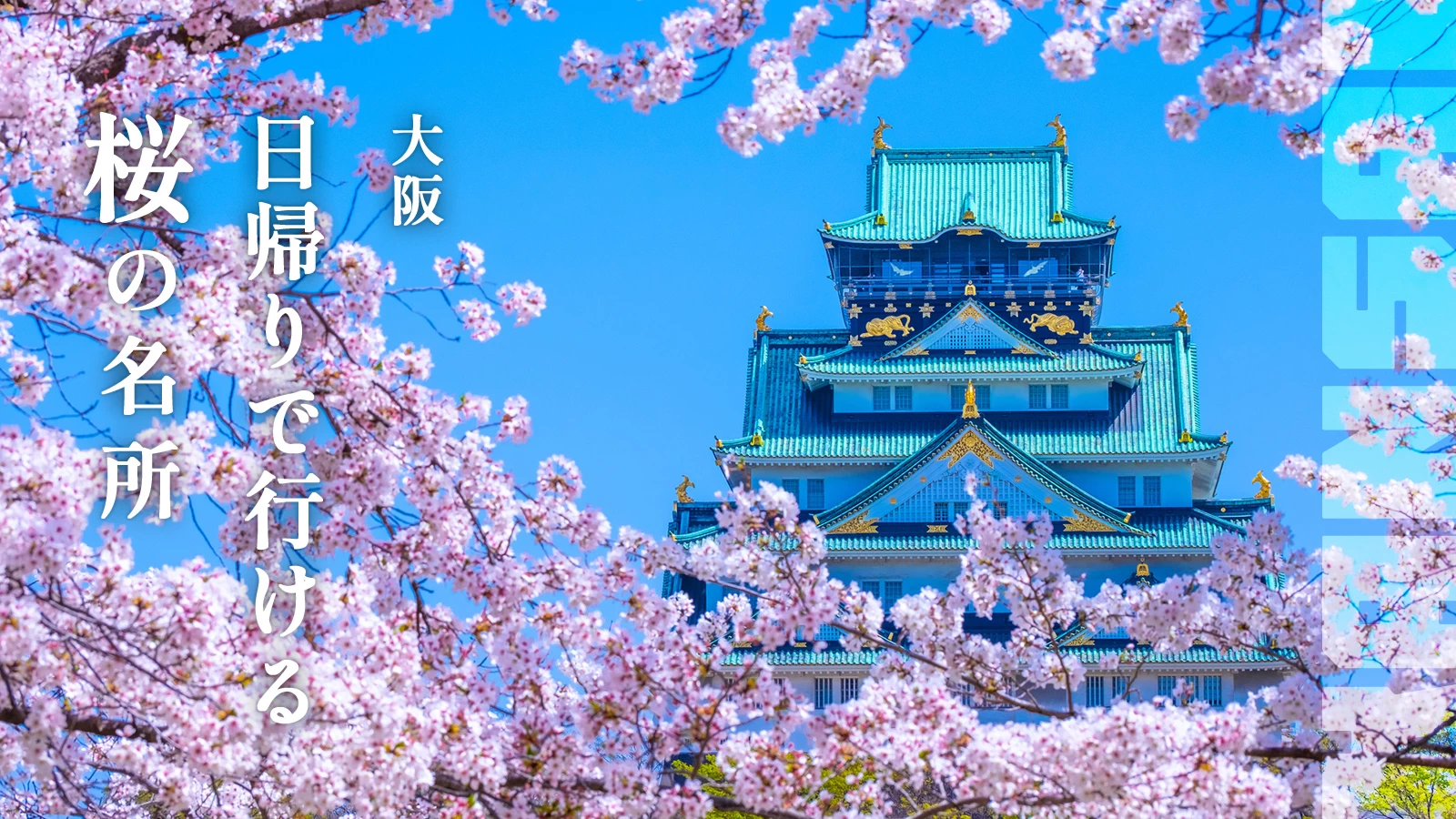 【2024年・大阪】都心から日帰りで行ける関西の桜の名所20選