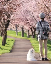 【2024年・東京】春を感じにおでかけ！3月に開催される関東のイベント24選