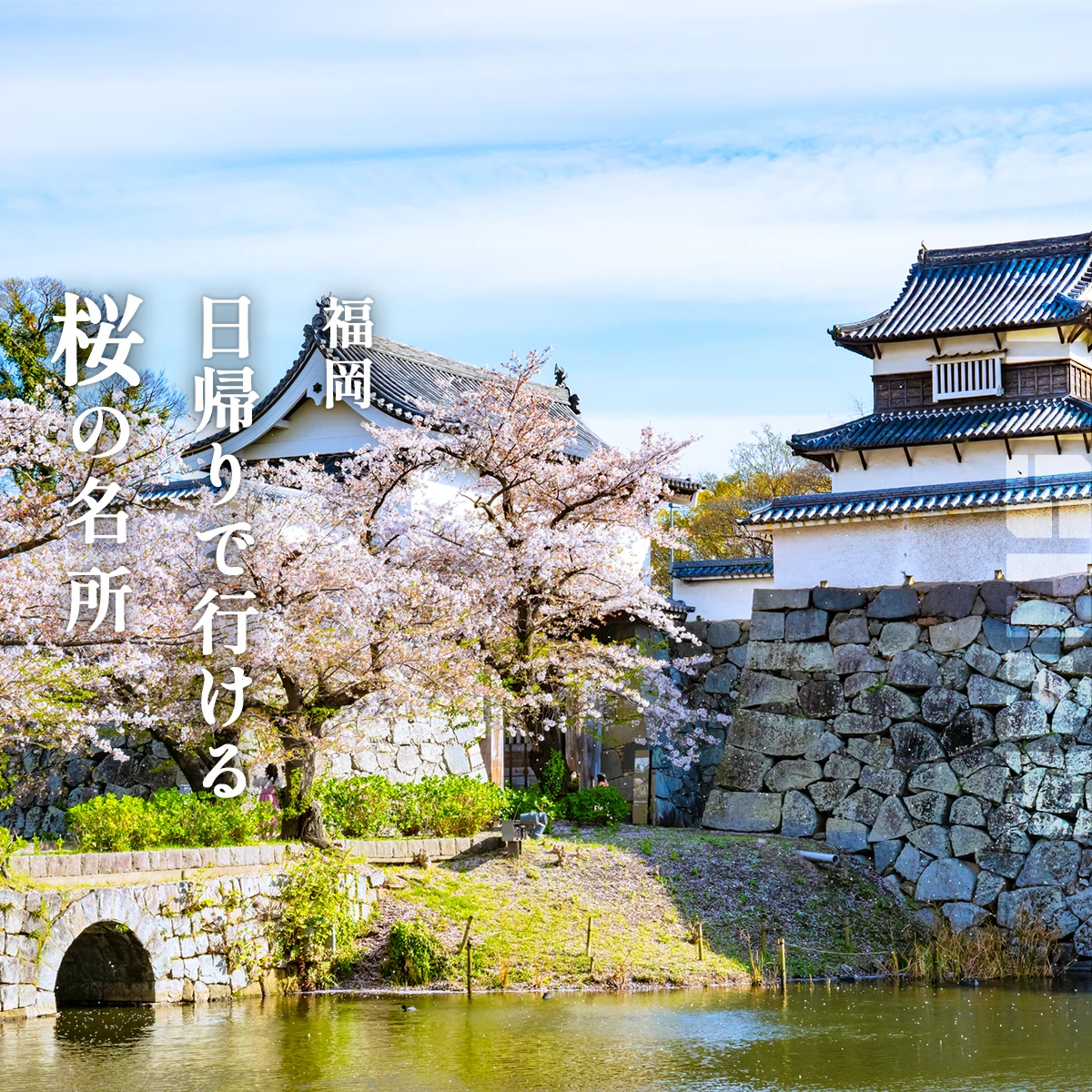 2026年最新】九州の桜名所30選｜日帰りで行けるお花見スポットも紹介